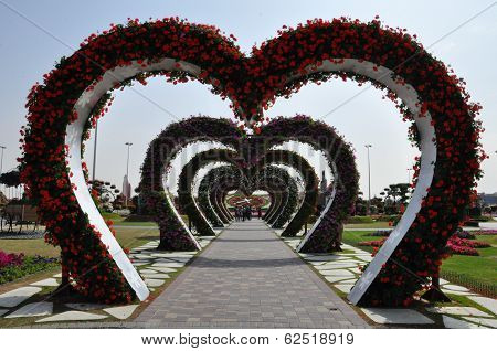 Dubai Miracle Garden in the UAE