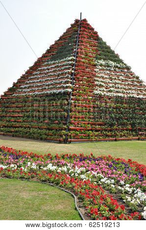 Dubai Miracle Garden in the UAE