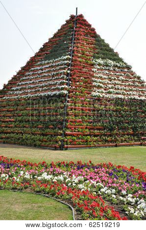 Dubai Miracle Garden in the UAE