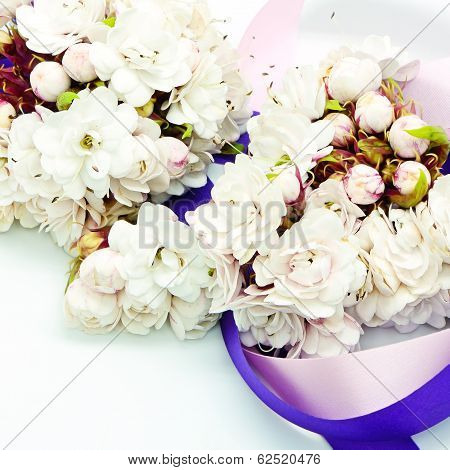Glory Bower Flower