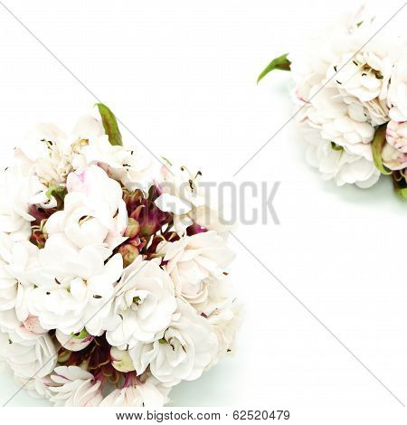Glory Bower Flower