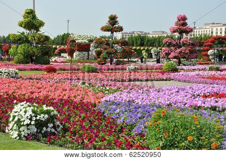 Dubai Miracle Garden in the UAE