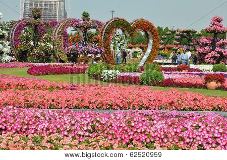 Dubai Miracle Garden in the UAE