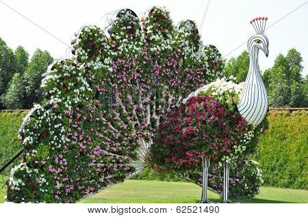 Dubai Miracle Garden in the UAE