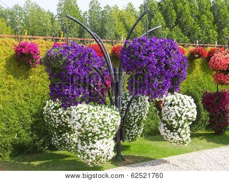 Dubai Miracle Garden in the UAE