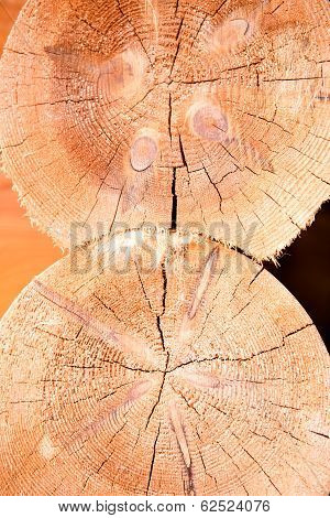 Wooden Hause. Sectioned Log.