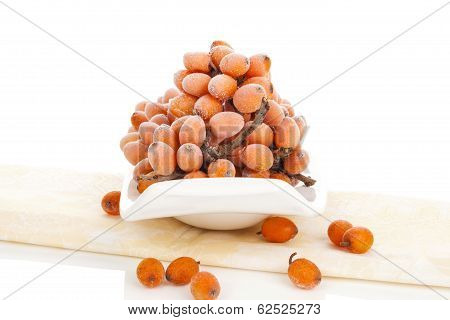 Sea Buckthorn.