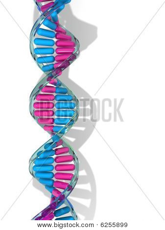 Dna