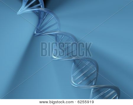 Dna 的结构
