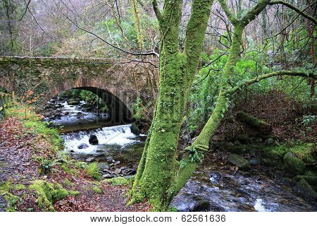 old bridge in wood