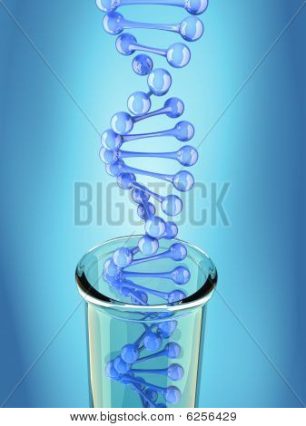 Dna 的结构