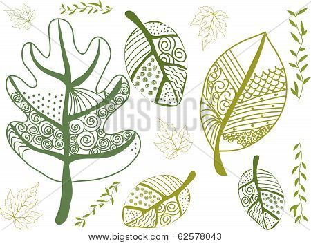 Leaves pattern