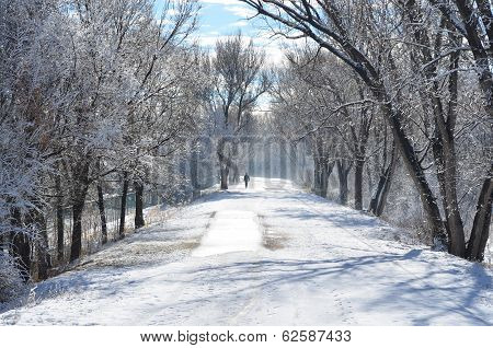 The snowy walking path