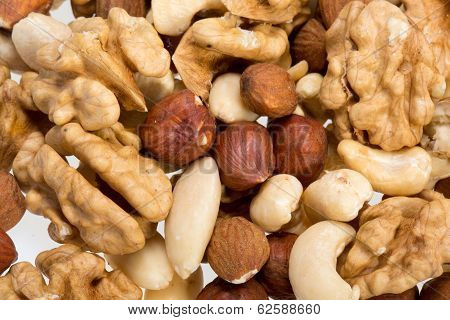 background of mixed nuts - hazelnuts walnuts cashews pine nuts