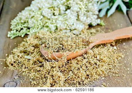 Herbal Tea Of Meadowsweet On Spoon