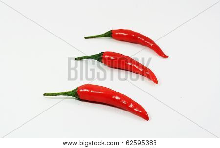 Red hot pepper