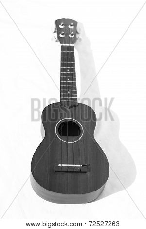 Ukulele Insturment