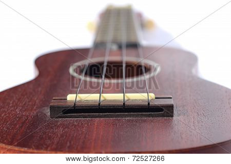 Ukulele Insturment