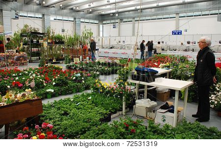 Plant Stall