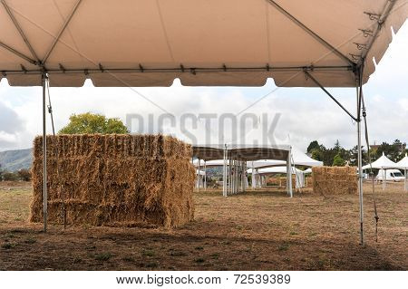 White Tents In A Dry Field Outdoors