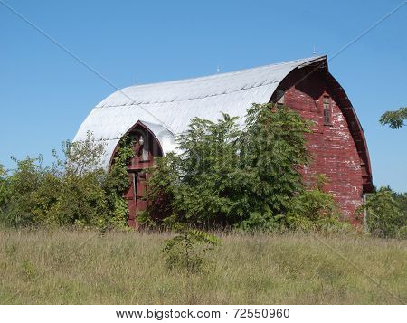 Ramshackle Beauty