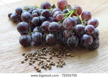 Garpe Seed