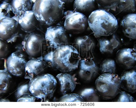 mirtilos