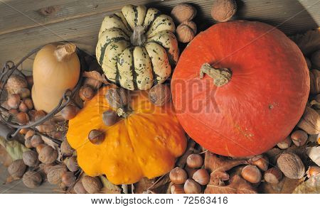 Autumnal Vegetable And Fruit