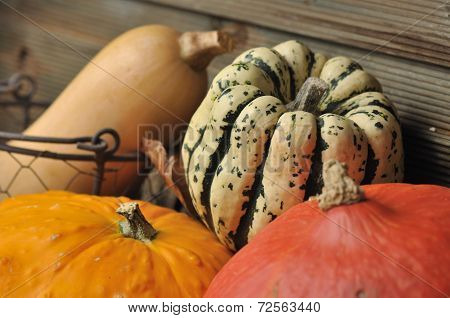 pattypan
