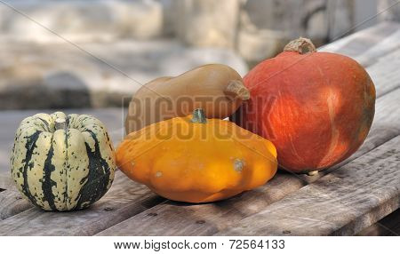 Varieties Of Pumpkins