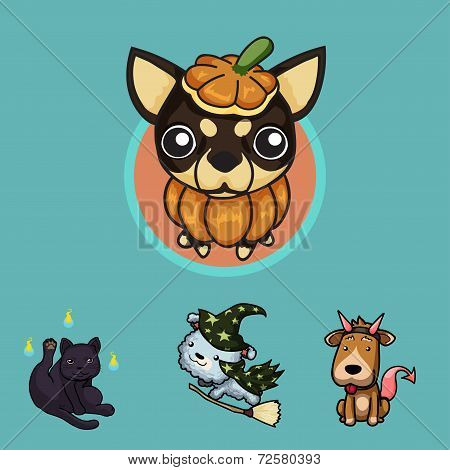 Pets in Halloween