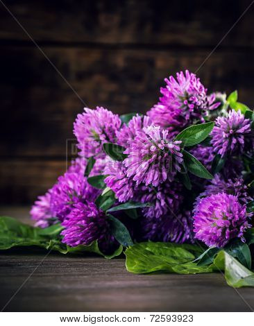 Bouquet of blooming clover on the wooden background.