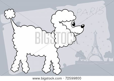 poodle dog drawing
