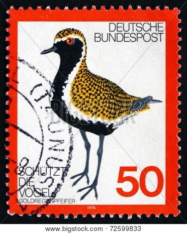 Postage Stamp Germany 1976 Golden Plover, Bird