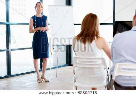 Businesswoman doing a presentaion in front of her collegues