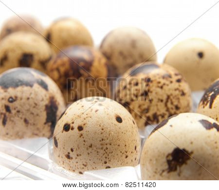 Quail Eggs In Their Plastic Packaging