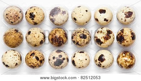Quail Eggs In Their Plastic Packaging