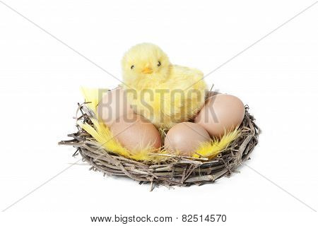 Easter Chicken