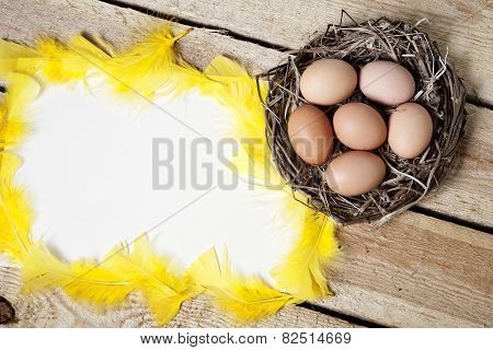 Easter Background  - Eggs In Nest.