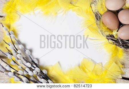 Easter Background  - Eggs In Nest.
