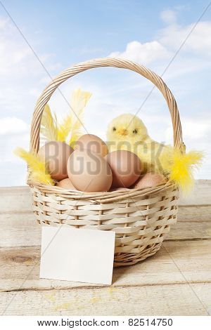 Easter Basket With Baby Chicken And Eggs