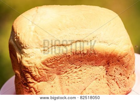 White Handmade Bread