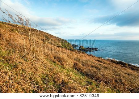 Cornish Coast At Talland Bay