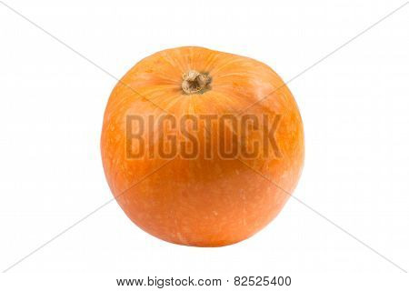 Pumpkin Isolated On A White Background