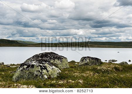 Landdistrikternes natur
