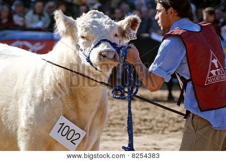 124 th fiera rurale Argentina