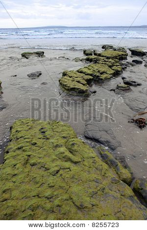 Verde fango rocce