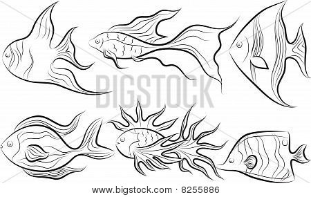 Fishes.EPS
