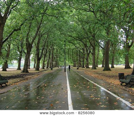 Hyde Park an einem regnerischen Tag
