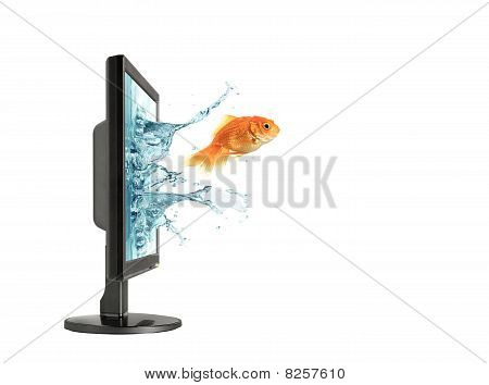 Saltando de Lcd